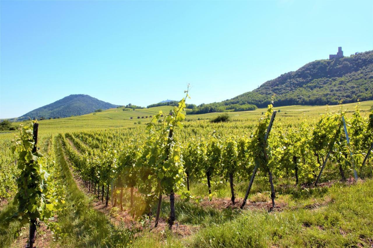 La Halte Des Vignes - Route Des Vins D'Alsace Apartment Scherwiller ภายนอก รูปภาพ